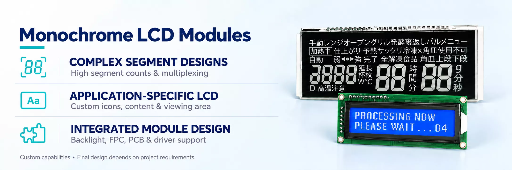 Segment LCD Module