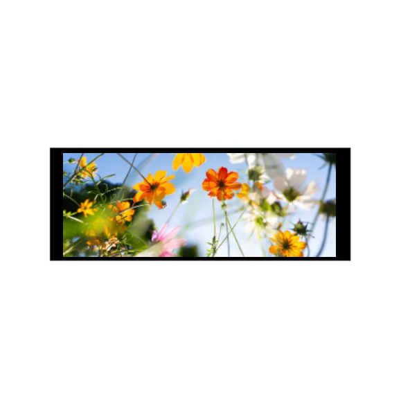 6.86 inch 480×1280 IPS TFT Module